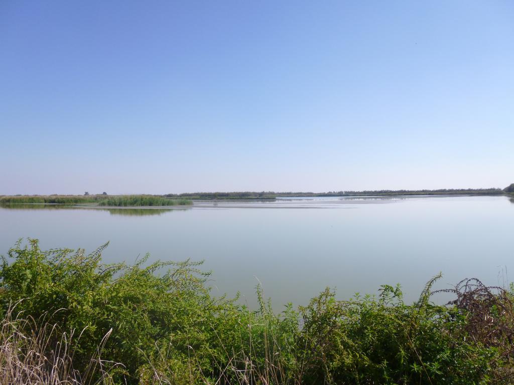 La Tomina Konuk evi Mirandola Oda fotoğraf