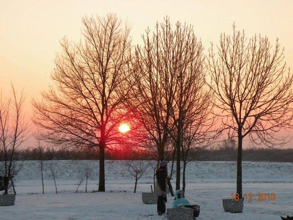 La Tomina Konuk evi Mirandola Oda fotoğraf